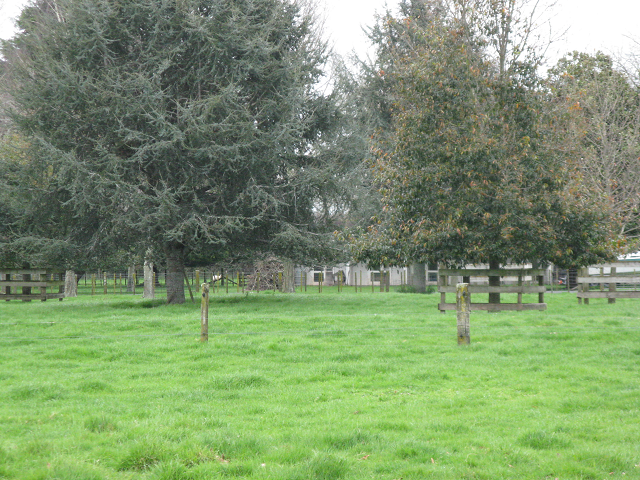 Payne Park - Cambridge Tree Trust.